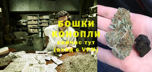 эйфоретик Богданович