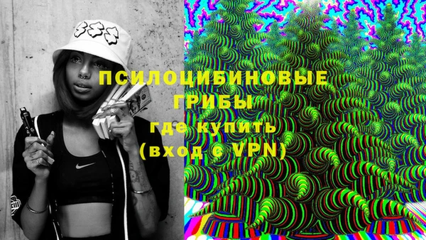 эйфоретик Богданович