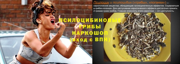 метадон Богородицк
