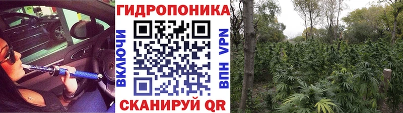 Конопля тримм  как найти наркотики  Жуковский 
